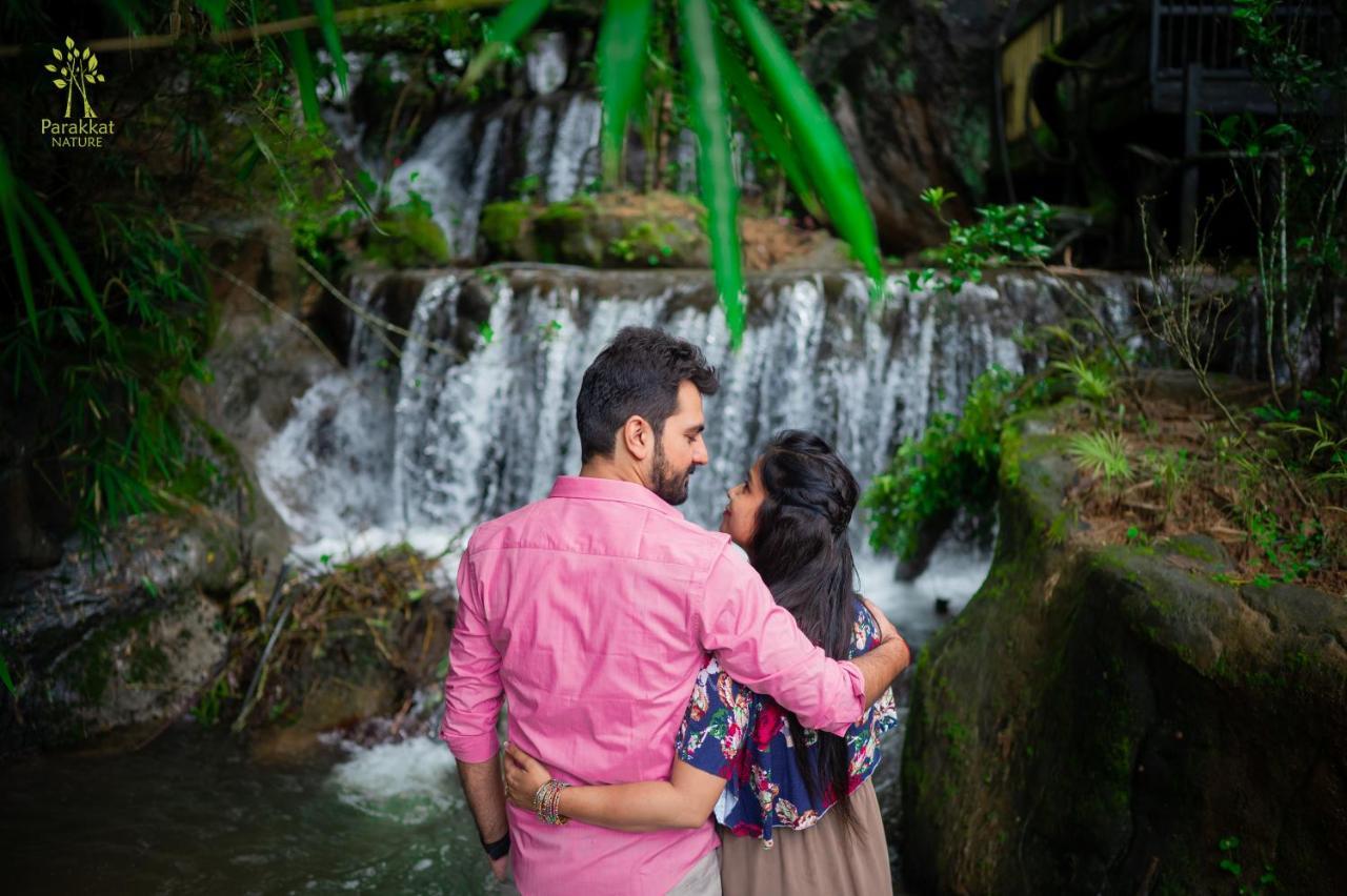 Parakkat Nature Resort Munnar Exterior foto